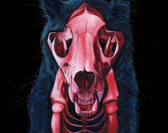May include: A watercolor painting of a black cat with a pink and red skull overlayed on its head. The skull is detailed with teeth and bone structure. The cat's fur is dark blue and black.
