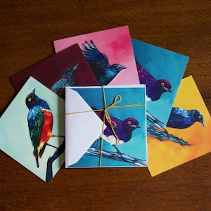 Conjunto de cartas de notas de aves de varias cartas de arte de especies de estrella con sobres