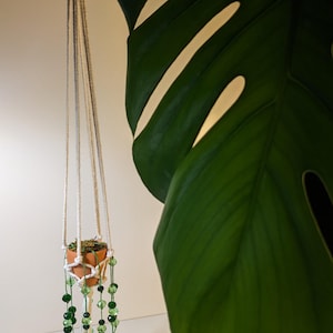 Pode incluir: Um pequeno vaso de terracota com uma planta, suspenso por um suporte de macramê. O suporte apresenta corda branca e fios de contas verdes. Uma grande folha verde de monstera no fundo.