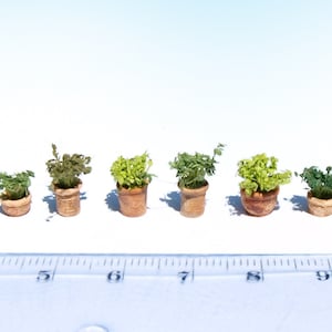 8 vasi da fiori in miniatura HO OO scala Piante verdi mix modello ferroviario diorama 1/87