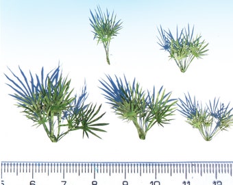 Miniature Yucca Palm Bushes: HO OO Scale Diorama Scenery