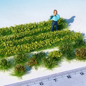 Miniatur grüne Büsche Gemüsegarten Pflanzen Maßstab HO/O für Modelleisenbahn & Puppenhaus für 1/87 bis 1/43 Diorama-Landschaft