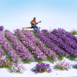 Provence Lavendelfeld Blumen Büschel Mix HO O Modelleisenbahn & Puppenhaus Diorama