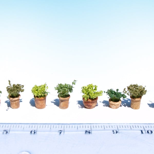 Miniature Flower Pot Etsy