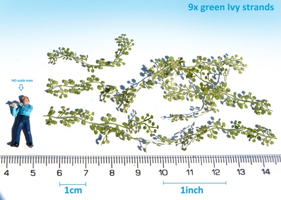 bonsai baum im glas Flaschengarten Egg XL Bonsai DIY Bausatz Pflanzen-Set ↕30cm