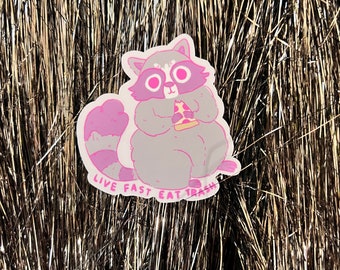 Live Fast Eat Trash Sticker