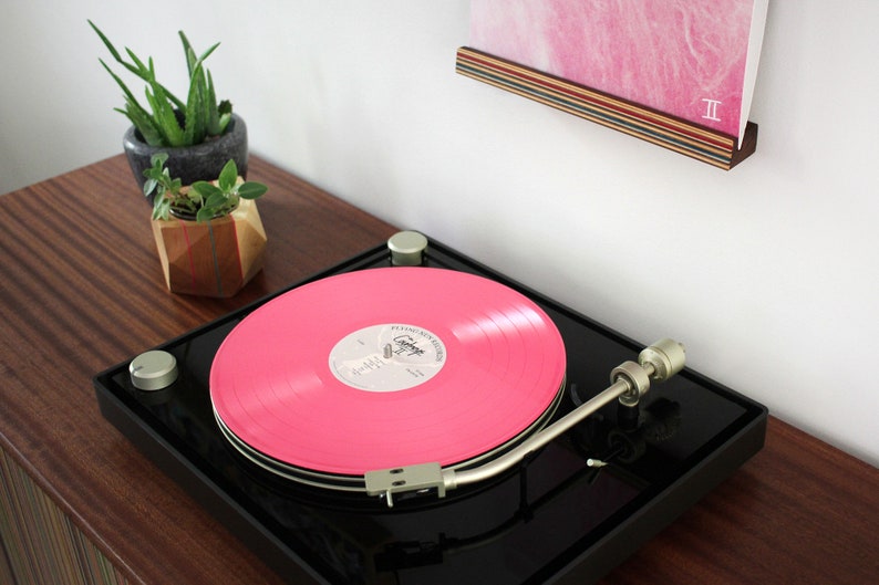 Skateboard Vinyl Record Display Shelf image 3