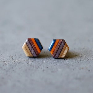 Hexagon Skateboard Stud Earrings image 1