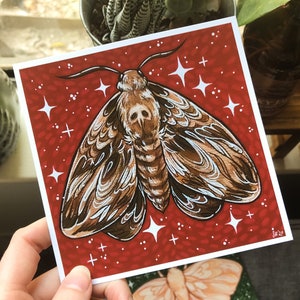 Death Head Moth (SMALL ART PRINT)