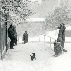 Snow in Sochi,1982. Silver gelatin print 8x10 inches