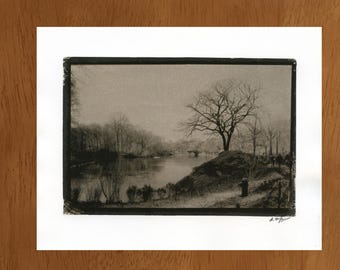 Central Park, New York, 2003, gomme sur palladium 27 x 35 cm