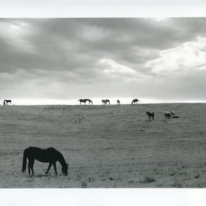 Woodford, Kentucky, 2007. Darkroom silver print 24x30 cm