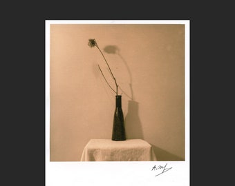 Nature morte 27.  Impression lithatine argentique 8x10 pouces