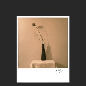 still life 27.  Silver gelatin lith print 8x10 inches