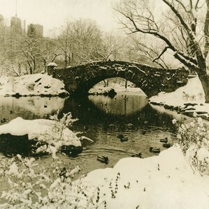 The Central Park in winter. (2002) Silver gelatin Lith darkroom print.