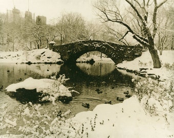 The Central Park in winter. (2002) Silver gelatin Lith darkroom print.