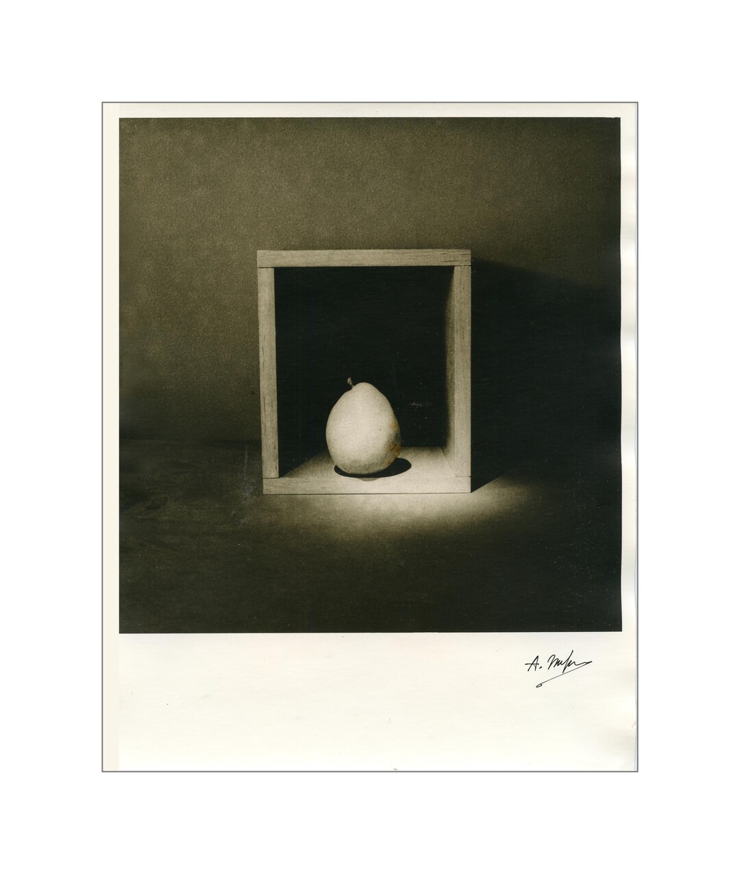 A Pear, Darkroom Silver Gelatin Lith Print 8x10 Inches - Etsy
