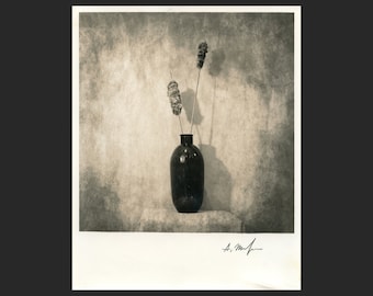 still life 32 (2014) silver gelatin print 8x10 inches