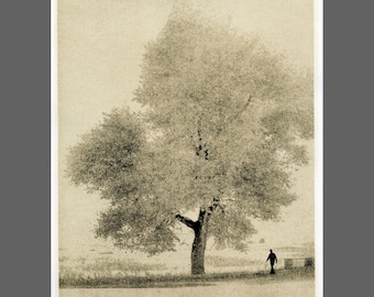L'homme qui marche (2002), impression gélatino-lithographique argentique en chambre noire 20 x 25 cm (8 x 10 po.)