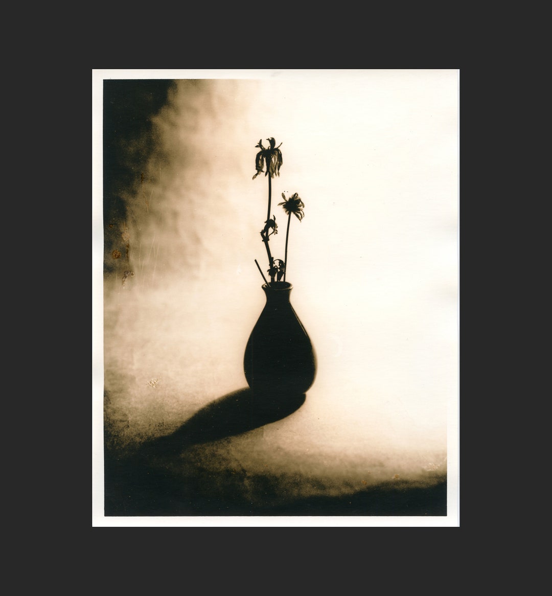 Still Life 58 Silver Gelatin Lith Print 8x10 Inches Etsy Still Life 58 Silver Gelatin Lith Print 8x10 Inches Etsy