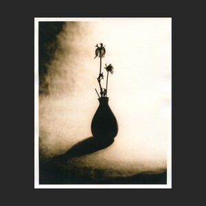 Still life 58, Silver gelatin lith print 8x10 inches