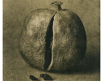 Pomegranate, darkroom silver gelatin lith print 8x10 inches
