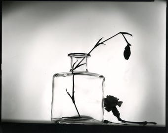 Ne me quitte pas. Don't leave me. Silver gelatin print 8x10 inches