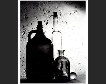 still life # 29     silver-gelatin darkroom print 8x10 inches