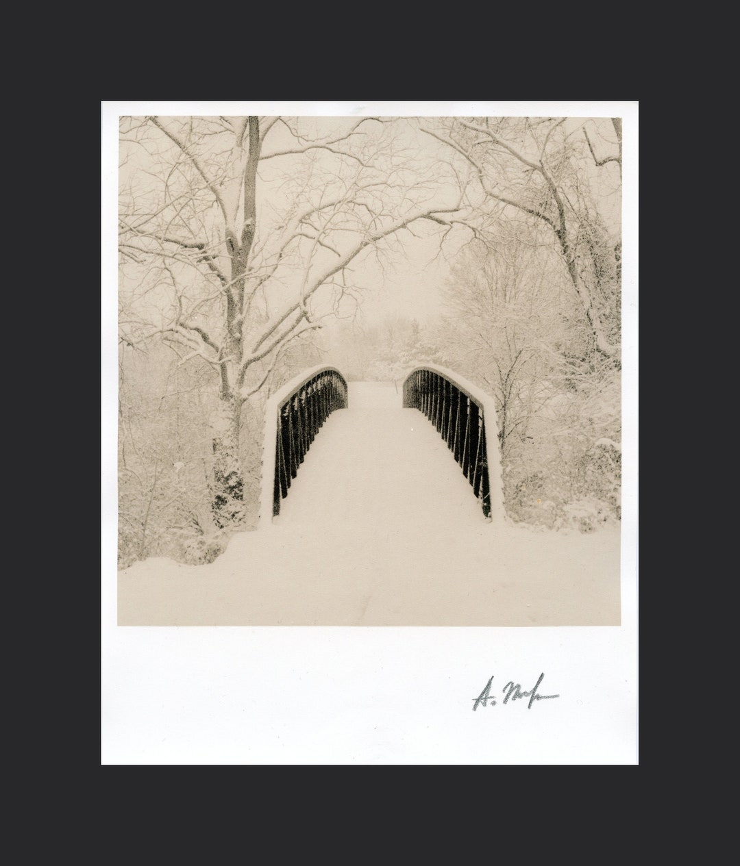 Park in Winter.. Darkroom Silver Gelatin Lith Print.2012 Etsy
