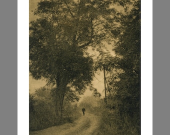 Soir sur une route de campagne, Ukraine 2001. Impression gélatino-argentique 20 x 10 pouces