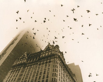 Fog over Grand Army Plasa-lith darkroom print