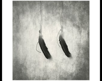 Two feathers. Darkroom silver print on fiber based paper