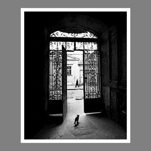 Silver gelatin prints - Etsy 日本