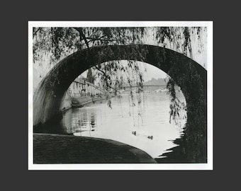 Paris,  2011, darkroom  black and white silver gelatin print 8x10 inches