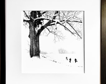 Parc Symmes, Loveland, (2012). Tirage gélatino-argentique noir et blanc 20 x 25 cm