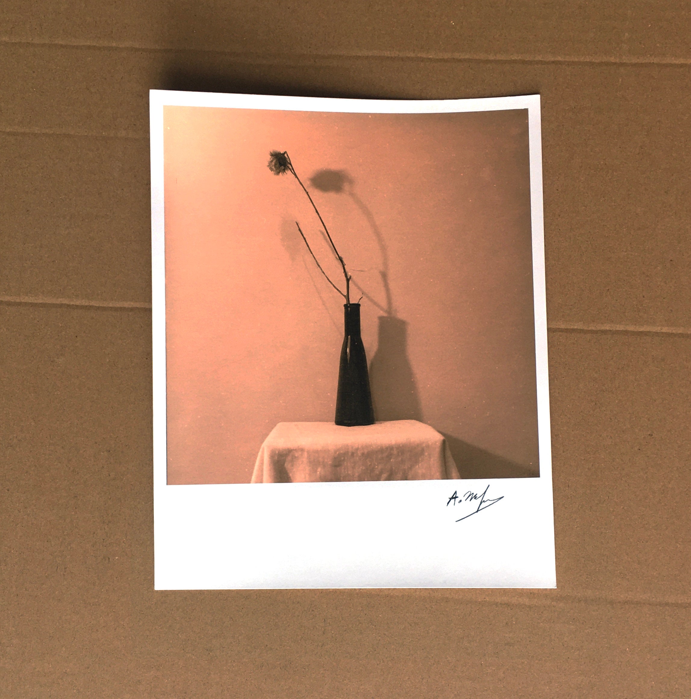 Still Life 27 Silver Gelatin Lith Print 8x10 Inches Etsy Still Life 27 Silver Gelatin Lith Print 8x10 Inches Etsy