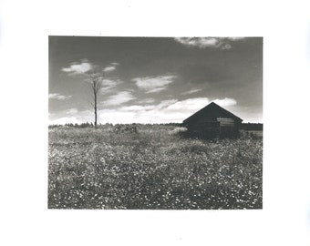 Northern landscape (1978). Palladium print