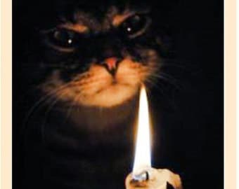 St Gertrude Patron Saint of Cats and Gardeners  3 Day Vigil Chime   Candle  Service St Gertrude watches over all cats