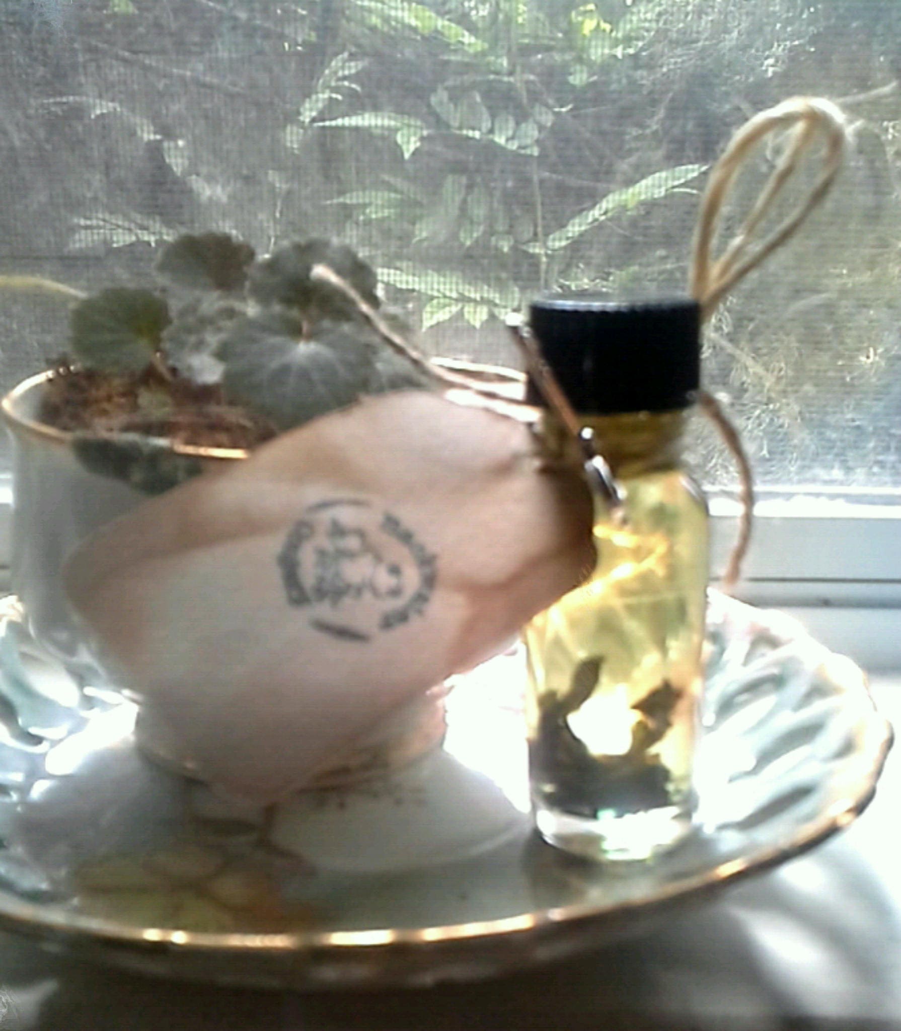 abre camino oil recipe abre camino oil recipe