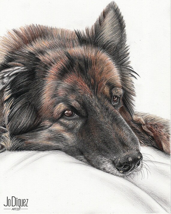 Custom Psa Portret Z Ołówkiem 8x10 Portret Zwierzaka Prezent Dla Miłośników Psów Ołówek Portret Pomnik Zwierzaka Rysunek Psa