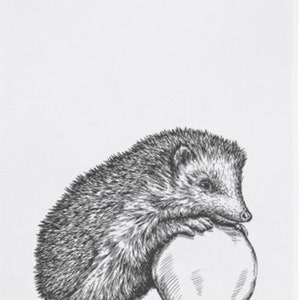 May include: A black and white line drawing of a hedgehog curled up holding a round object, possibly an apple.