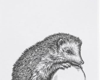 Geschirrtuch IGEL mit Apfel Trockentuch weiß 50x70cm 100% Baumwolle GESCHIRRTÜCHER 17;30 Hamburg