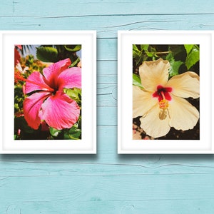 Vintage Tropical Flower Prints/ Hibiscus Floral Photography Print