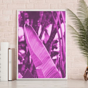 Miami Vice Art Deco Palm Leaf Plant Photography Abstract Print