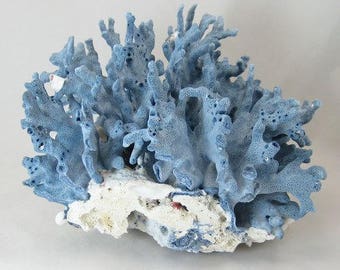 Decorative Coral Etsy