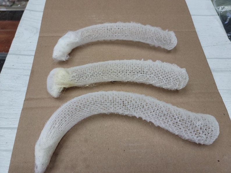 Venus Flower Basket glass Sponge EA Etsy