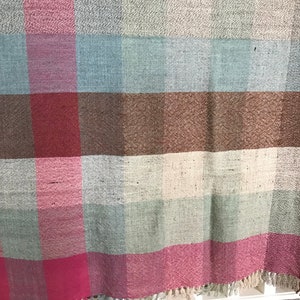 May include: A woven plaid throw blanket with a fringed edge. The blanket features a pattern of pink, red, brown, and blue squares.