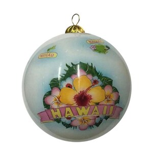Handgeschilderde Hawaii State Islands kaart Globe kompas ontwerp Hibiscus Plumeria bloemboeket kerstboom decoratie huis Accent Ornament