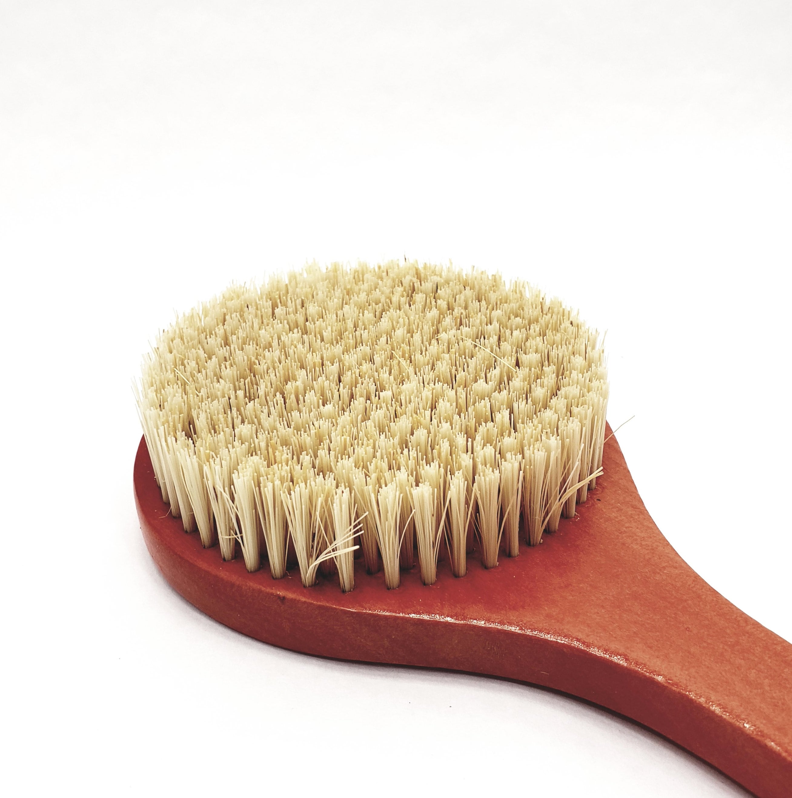 Natural Bristle Back Brush, Cactus Bristles, 16 Long Handle, Back Brush