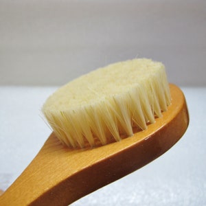 Cactus Fiber Body Brush: 8-inch Wood Handle, Eco-Friendly and Vegan-Friendly